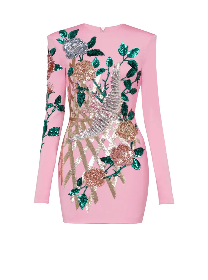 Embroidered Roses Dress Pink Women Balmain Dresses