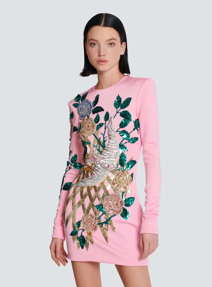 Embroidered Roses Dress Pink Women Balmain Dresses