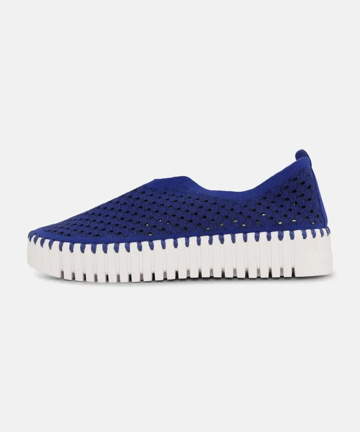 Flats 8211 Blue Web Shoes Ilse Jacobsen Tulip Flats Flats 8211 Blue Web Shoes Ilse Jacobsen Tulip Flats