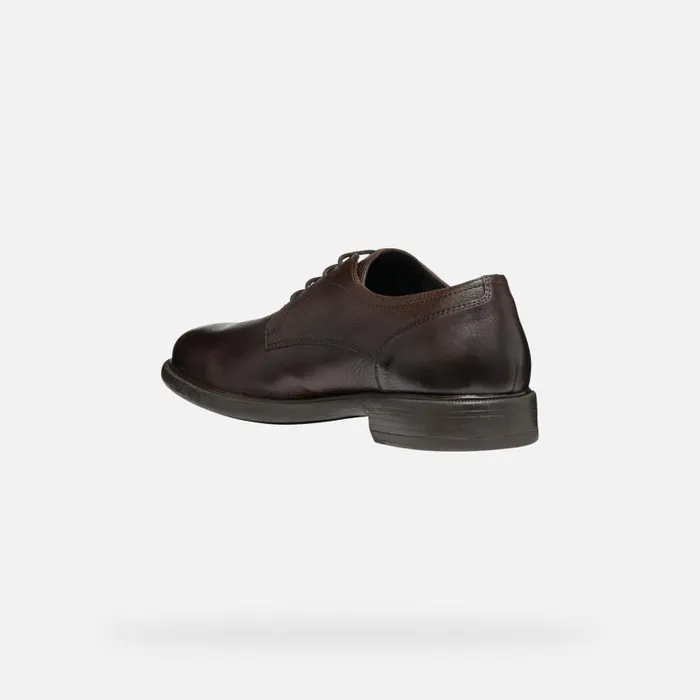 Man Geox Formal Shoes TERENCE MAN Coffee Leather Shoes Coffee