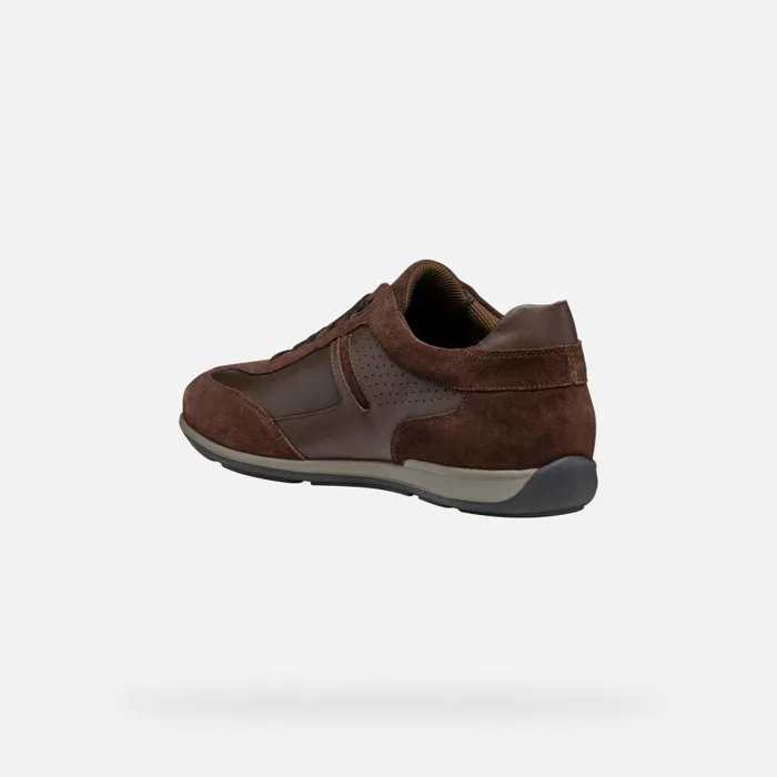 Man Geox Sneakers IONIO MAN Dark Coffee Low Top Sneakers Dark Coffee