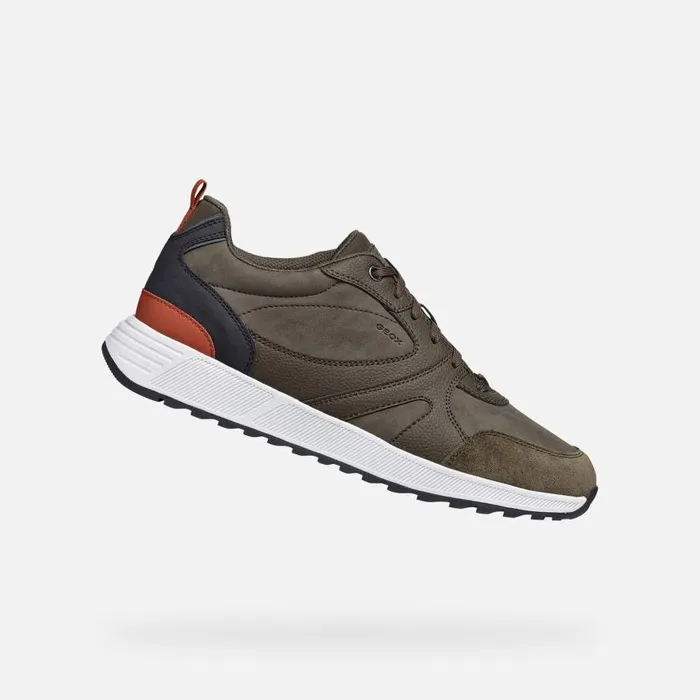 Man Geox Sneakers MOLVENO MAN Military Low Top Sneakers Military