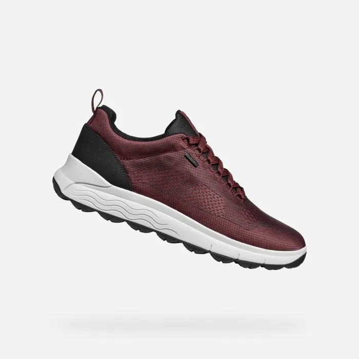 Man Geox Sneakers SPHERICA 4X4 ABX MAN WineNavy Waterproof Trainers Winenavy