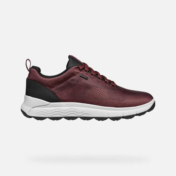 Man Geox Sneakers SPHERICA 4X4 ABX MAN WineNavy Waterproof Trainers Winenavy