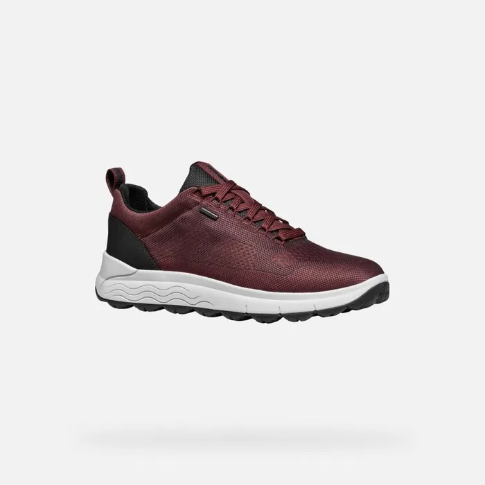 Man Geox Sneakers SPHERICA 4X4 ABX MAN WineNavy Waterproof Trainers Winenavy