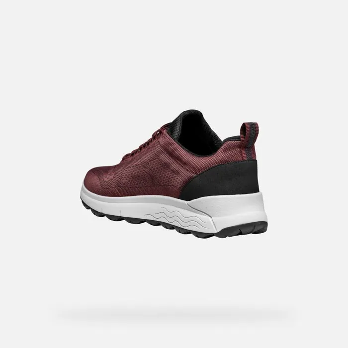 Man Geox Sneakers SPHERICA 4X4 ABX MAN WineNavy Waterproof Trainers Winenavy