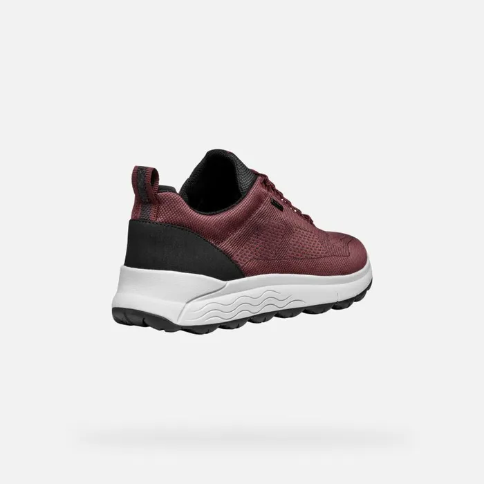 Man Geox Sneakers SPHERICA 4X4 ABX MAN WineNavy Waterproof Trainers Winenavy