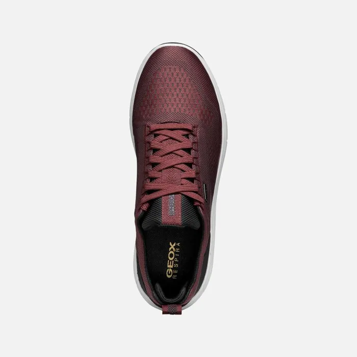 Man Geox Sneakers SPHERICA 4X4 ABX MAN WineNavy Waterproof Trainers Winenavy