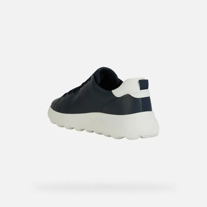 Man Geox Sneakers SPHERICA EC41 Men039s Navy Low Top Sneakers Geox Navy