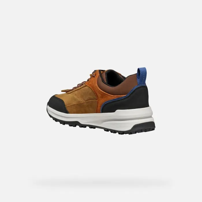 Man Geox Sneakers STERRATRAIL GRIP ABX MAN Ochre Waterproof Trainers Ochre