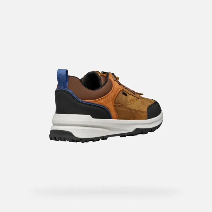 Man Geox Sneakers STERRATRAIL GRIP ABX MAN Ochre Waterproof Trainers Ochre
