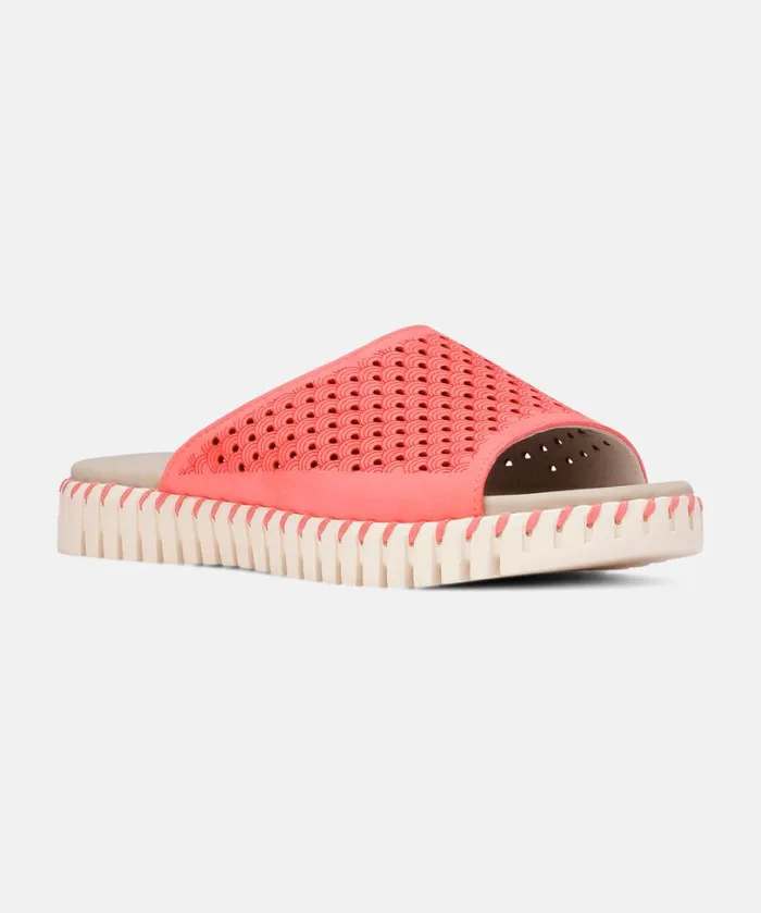 Sandals 8211 Rasperry Shoes Ilse Jacobsen Sandals Sandals 8211 Rasperry Shoes Ilse Jacobsen Sandals