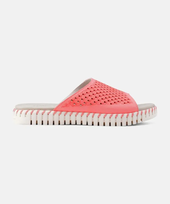 Sandals 8211 Rasperry Shoes Ilse Jacobsen Sandals Sandals 8211 Rasperry Shoes Ilse Jacobsen Sandals