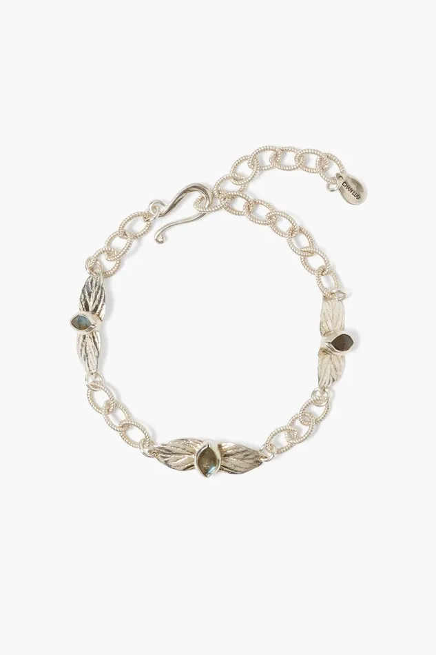 Sylve Bracelet Labradorite Women Chan Luu Bracelets