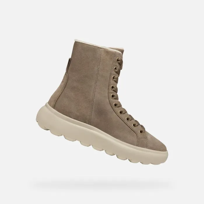 Woman Geox Ankle Boots SPHERICA EC41 WOMAN Taupe Ankle Boots With Laces Taupe
