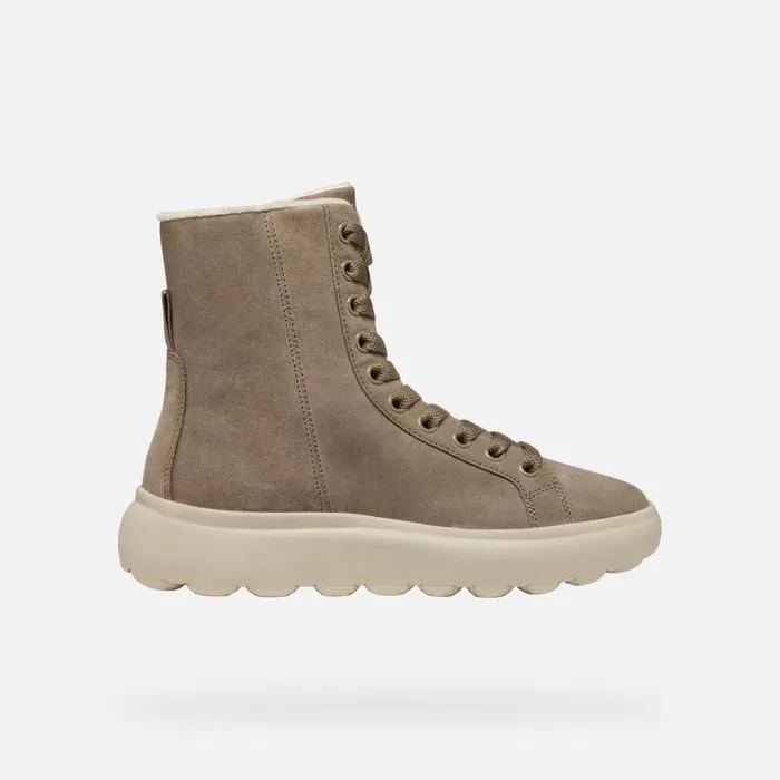 Woman Geox Ankle Boots SPHERICA EC41 WOMAN Taupe Ankle Boots With Laces Taupe