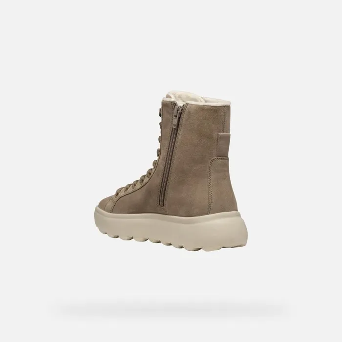 Woman Geox Ankle Boots SPHERICA EC41 WOMAN Taupe Ankle Boots With Laces Taupe