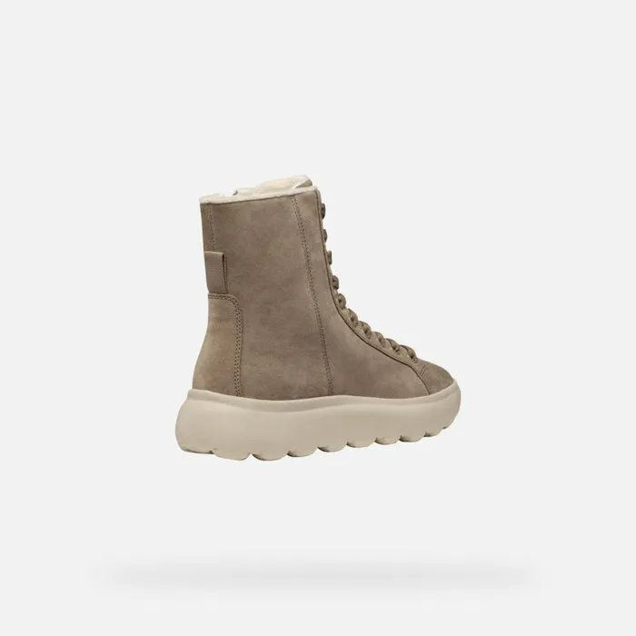 Woman Geox Ankle Boots SPHERICA EC41 WOMAN Taupe Ankle Boots With Laces Taupe