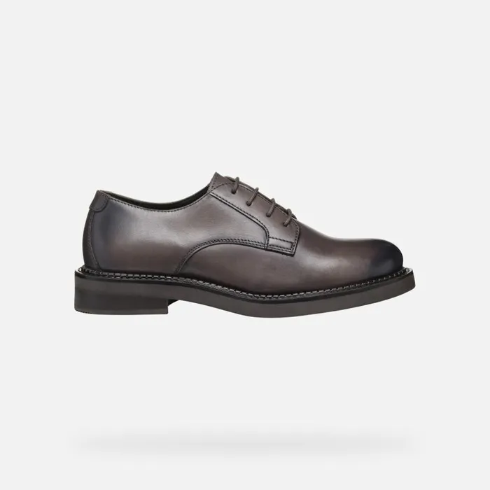 Woman Geox Lace Ups And Brogues SERILDA WOMAN Taupe Laceup Shoes Taupe