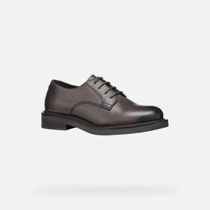 Woman Geox Lace Ups And Brogues SERILDA WOMAN Taupe Laceup Shoes Taupe