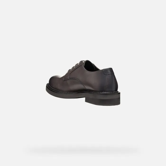 Woman Geox Lace Ups And Brogues SERILDA WOMAN Taupe Laceup Shoes Taupe