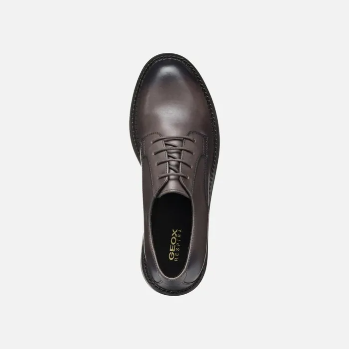 Woman Geox Lace Ups And Brogues SERILDA WOMAN Taupe Laceup Shoes Taupe