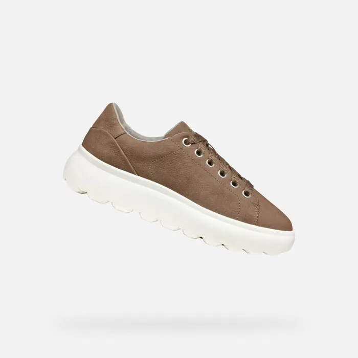 Woman Geox Sneakers SPHERICA EC41 WOMAN Dark Taupe Low Top Sneakers Dark Taupe