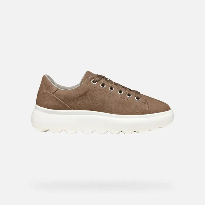 Woman Geox Sneakers SPHERICA EC41 WOMAN Dark Taupe Low Top Sneakers Dark Taupe