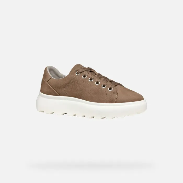 Woman Geox Sneakers SPHERICA EC41 WOMAN Dark Taupe Low Top Sneakers Dark Taupe