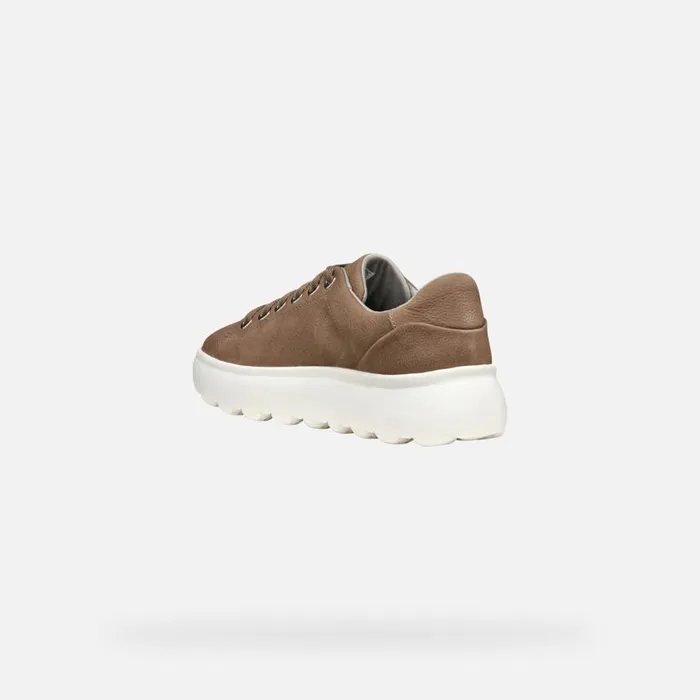 Woman Geox Sneakers SPHERICA EC41 WOMAN Dark Taupe Low Top Sneakers Dark Taupe