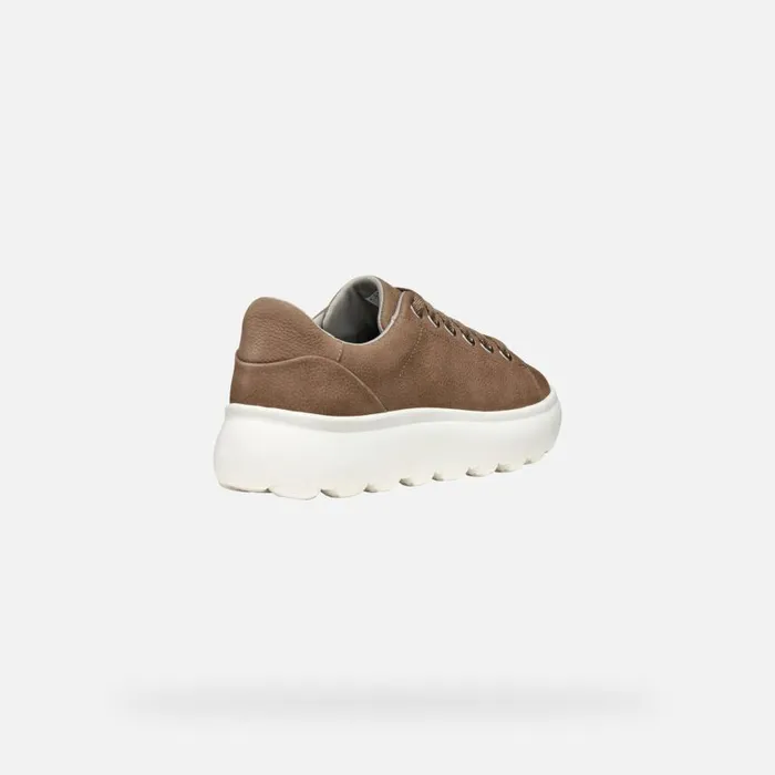 Woman Geox Sneakers SPHERICA EC41 WOMAN Dark Taupe Low Top Sneakers Dark Taupe
