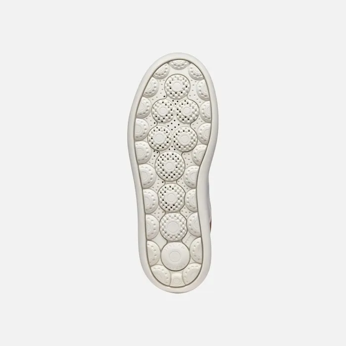 Woman Geox Sneakers SPHERICA ECUB2 WOMAN WhiteLight Taupe Low Top Sneakers Whitelight Taupe