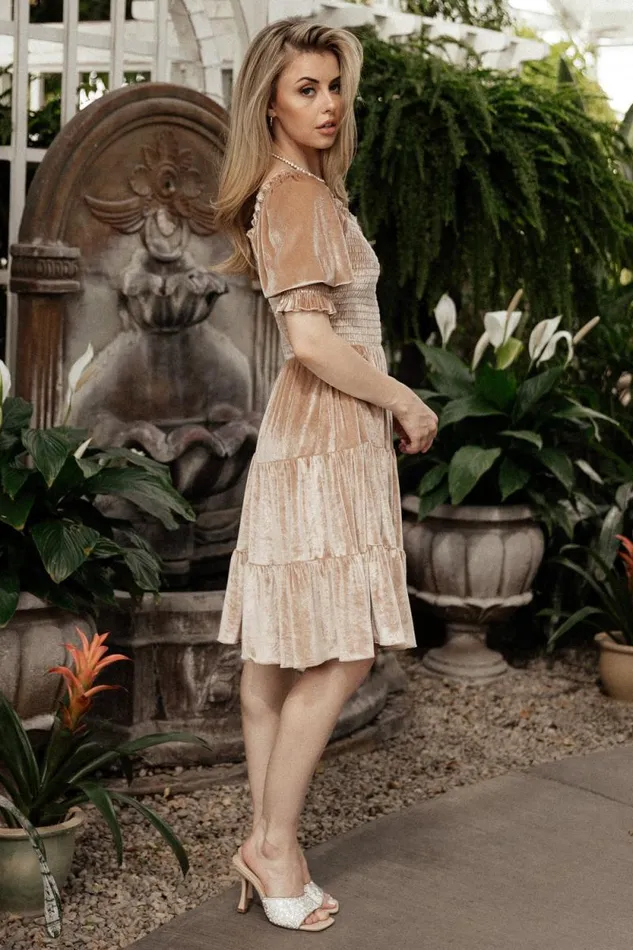 Women Bliss Smocked Velvet Short Dress Natural Baltic Born Short Dresses Women Bliss Smocked Velvet Short Dress Natural Baltic Born Short Dresses