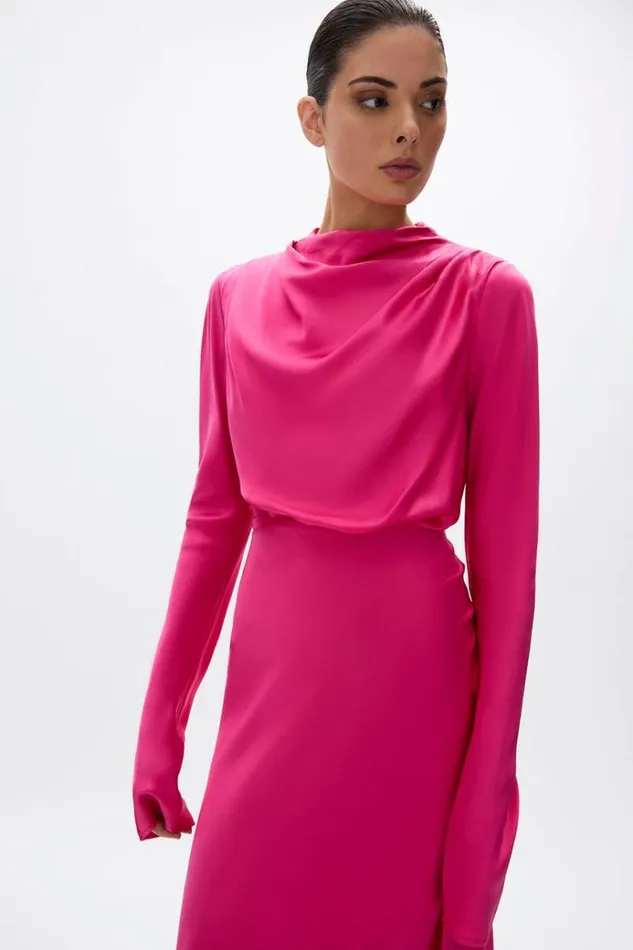 Women Maxi Dresses Rachel Gilbert Lucielle Gown Hot Pink Women Maxi Dresses Rachel Gilbert Lucielle Gown Hot Pink