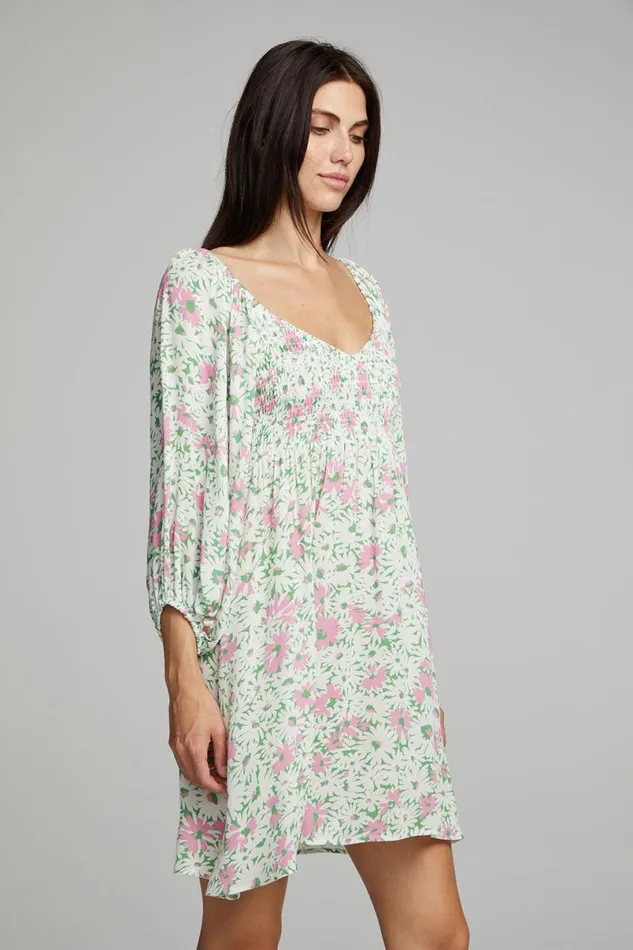 Womens Dresses Chaser Brand Dolce Mini Dress 8211 Daisy Floral Print