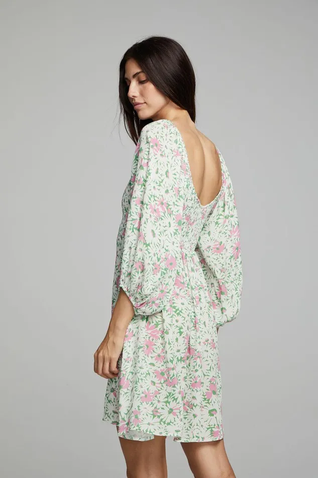 Womens Dresses Chaser Brand Dolce Mini Dress 8211 Daisy Floral Print