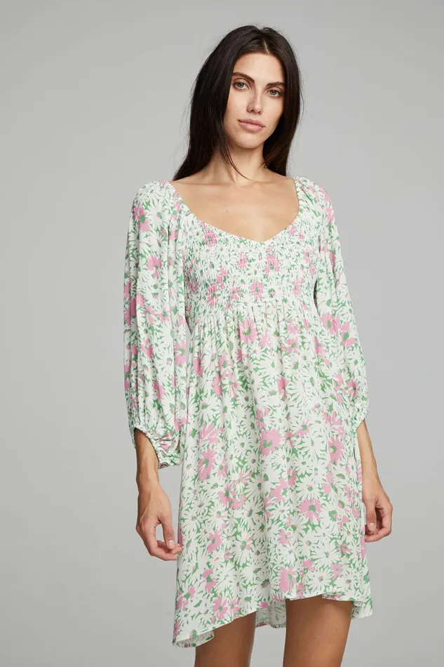 Womens Dresses Chaser Brand Dolce Mini Dress 8211 Daisy Floral Print