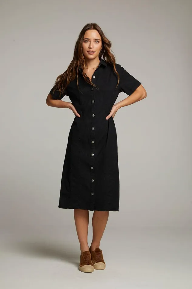 Womens Dresses Chaser Brand Rachelle Licorice Dress