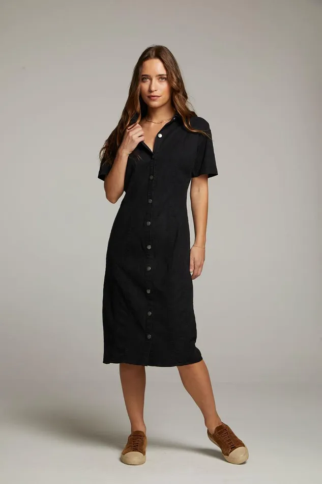 Womens Dresses Chaser Brand Rachelle Licorice Dress