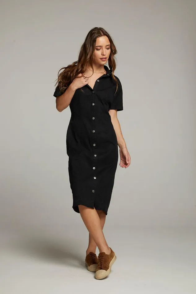 Womens Dresses Chaser Brand Rachelle Licorice Dress