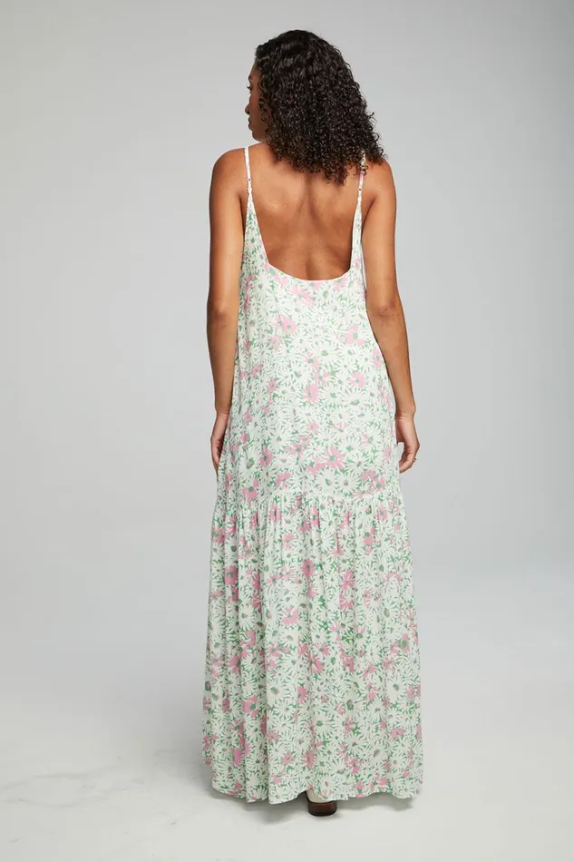 Womens Dresses Chaser Brand Seren Maxi Dress 8211 Grass Daisy Floral