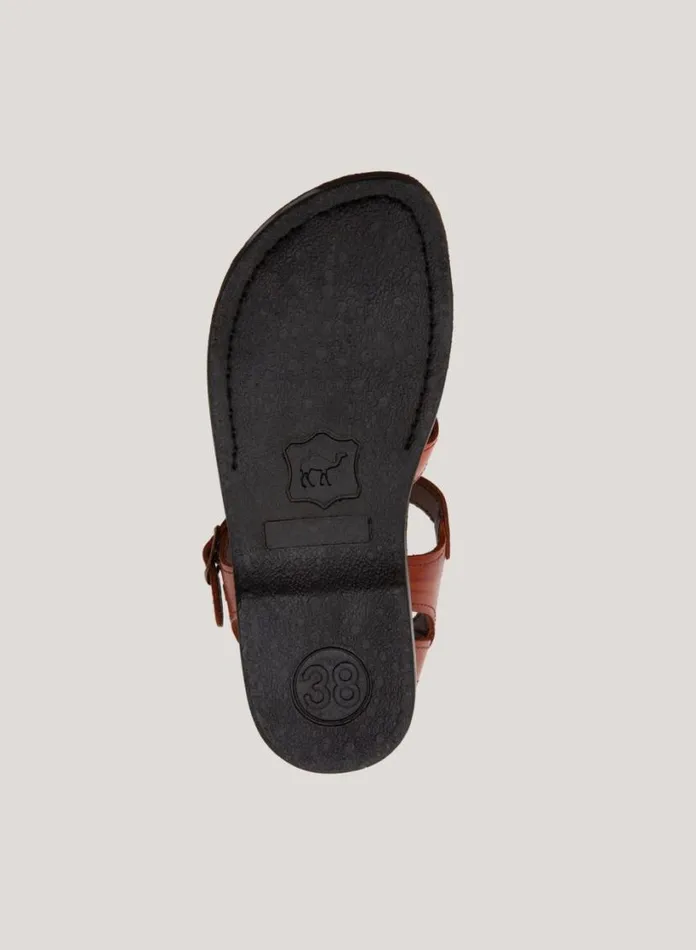 YMC Caged Sandal Brown Womens Footwear